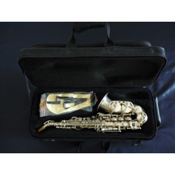light-case-for-curved-sopran-saxophone-model-0290